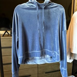 Aerie blue velour sweatshirt